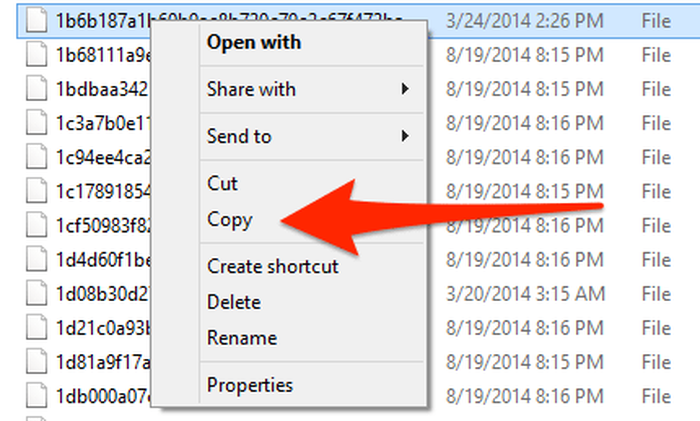 Copying the WhatsApp database