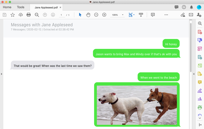 Recovered WhatsApp messages as a PDF